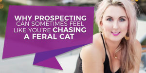 Why prospecting can sometimes feel like you're chasing a feral cat